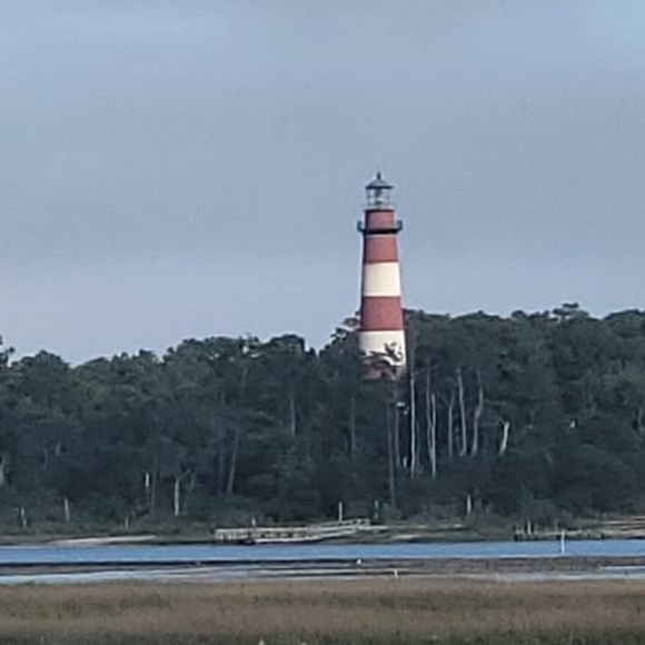 Meet your Posher, Cathy - Picture 1 of 1